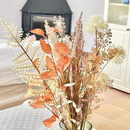 Only Adults 2 Pax - Piscina Privada - A/c - Wifi - Bbq Villa Blanes